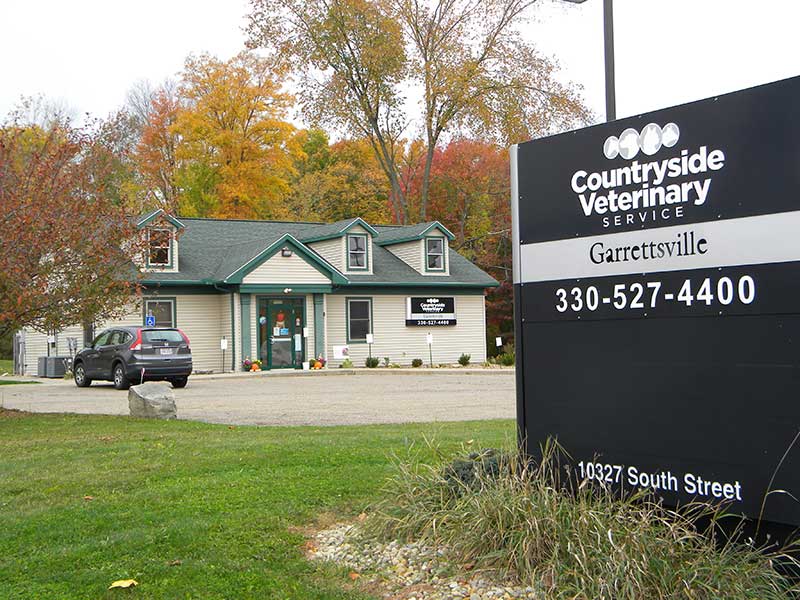 Animal hospital in Garrettsville OH