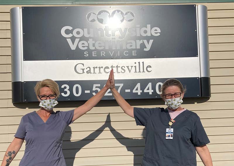 Countryside Veterinary Service Garrettsville Veterinarians